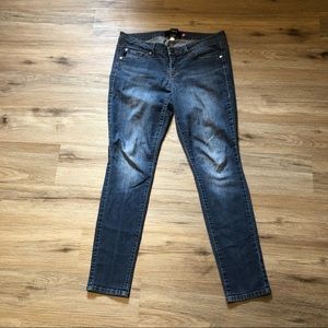 Torrid Jeans